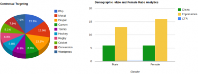 Performance Analytics